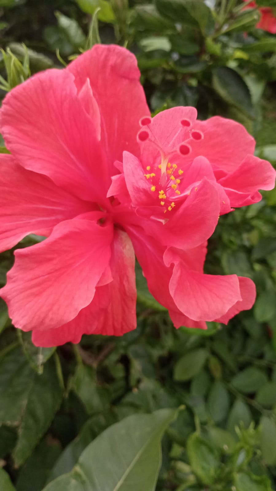 Being unique is better than being perfect